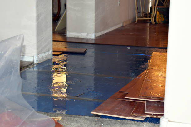 Professional Burst Pipe Cleanup technician working in Menasha, WI